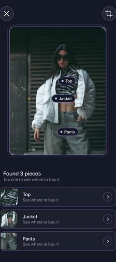 Gatekey's results for the photo: three pieces found, each labeled on the photo and listed below.
